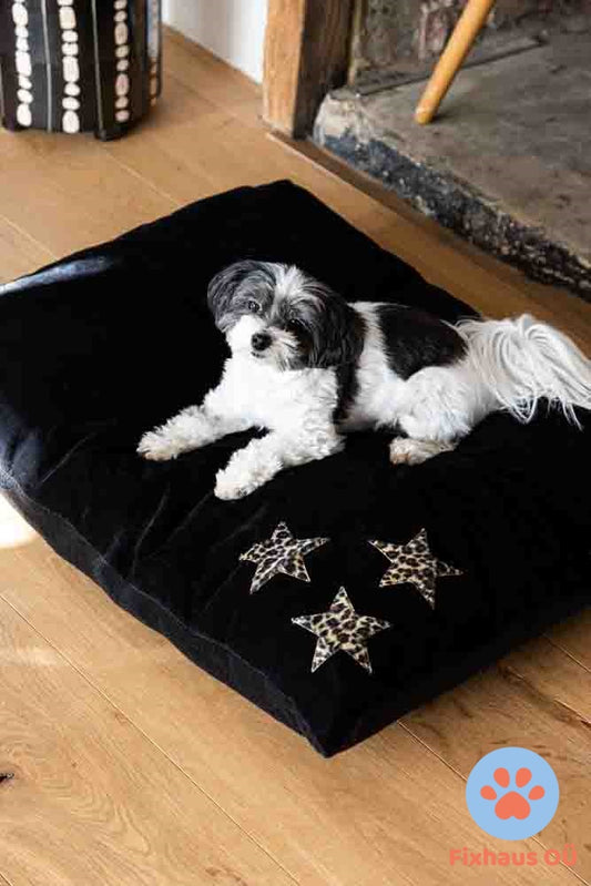 Leopard Stars Dog Bed - Available in 3 Sizes